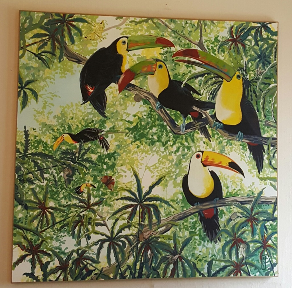 Les toucans